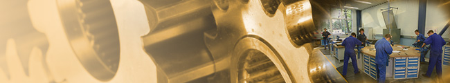 Banner8